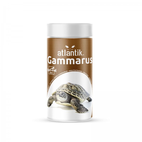 Gammarus Kaplumbağa Balık Yemi 250 ml 25g